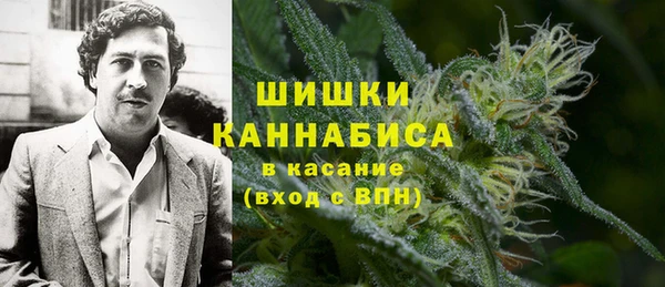 дурь Алзамай