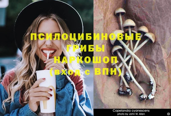 spice Абинск